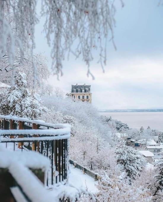 Appartement Avec Vue 180 Sur Le Lac Leman โทนง-เลส์-แบงส์ ภายนอก รูปภาพ